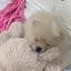 tomoのプロフィール画像