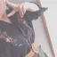 もものプロフィール画像
