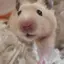 がぶまるのプロフィール画像