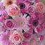 まりえのプロフィール画像