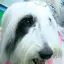 聖子のプロフィール画像
