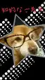 モコナのプロフィール画像