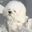 mのプロフィール画像