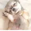 nのプロフィール画像