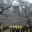Ruiのプロフィール画像