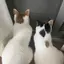 k☺︎のプロフィール画像