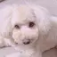 NORIのプロフィール画像