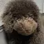 みかんのプロフィール画像