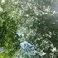 なつのプロフィール画像