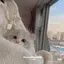 Sakurakoのプロフィール画像