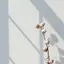 味噌のプロフィール画像