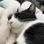 なかむらのプロフィール画像