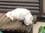 かおりのプロフィール画像