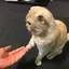 skのプロフィール画像