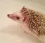じゅりのプロフィール画像