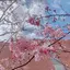 ぽんちのプロフィール画像