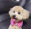 ももこのプロフィール画像