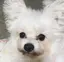 M.Mのプロフィール画像
