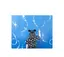 MAKIのプロフィール画像