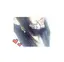りさのプロフィール画像