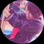 ゆまのプロフィール画像
