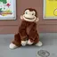 あやのプロフィール画像