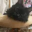 オレンジのプロフィール画像