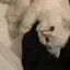 miyuのプロフィール画像