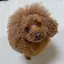 anのプロフィール画像