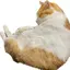 さーーのプロフィール画像