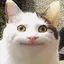 ゆうのプロフィール画像
