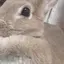 あ や ねのプロフィール画像