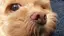 ゆーのプロフィール画像