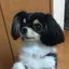 薫のプロフィール画像