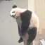 もちのプロフィール画像