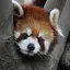 紗英のプロフィール画像