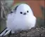 かなちのプロフィール画像