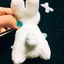 Rのプロフィール画像