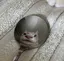 あやのプロフィール画像