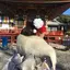 石塚雛乃のプロフィール画像
