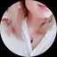 mani.のプロフィール画像