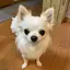 Satoのプロフィール画像