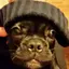 aynのプロフィール画像