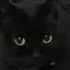 まゆみのプロフィール画像