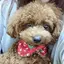なつのプロフィール画像