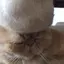 ゆきのプロフィール画像