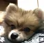 アッコ♡のプロフィール画像