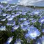 ゆきほのプロフィール画像