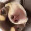 愛咲のプロフィール画像
