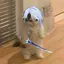 あおぴのプロフィール画像